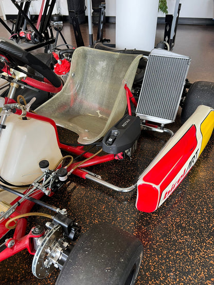Kart Birel Rotax DD2