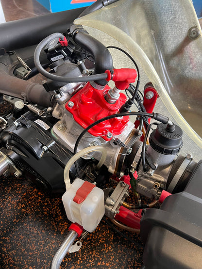 Kart Birel Rotax DD2